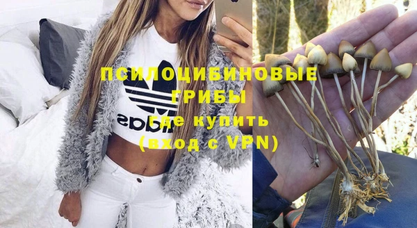 a pvp Белокуриха
