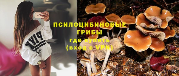 a pvp Белокуриха