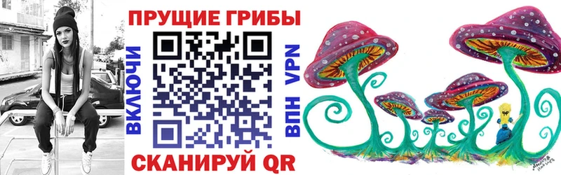 Псилоцибиновые грибы Psilocybe  KRAKEN tor  Саранск 